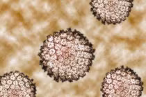 Điều chưa biết về HPV và bệnh ung thư miệng