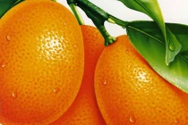 Cách dễ dàng phòng ngừa ung thư cho nam giới