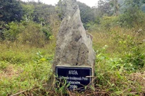 Kiểm lâm bán cây sưa 600 triệu ở VQG Cúc Phương