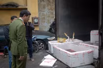 Phát hiện hàng tạ lòng lợn thối