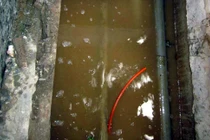 Thêm một công ty xả thải ra môi trường bị phát hiện