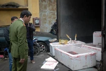 Phát hiện hàng tạ lòng lợn thối