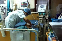 Bé 4 tuổi bị ong đốt gần 100 vết nguy kịch