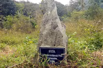 Kiểm lâm bán cây sưa 600 triệu ở VQG Cúc Phương