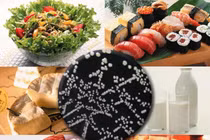 Chữa ung thư bằng vi khuẩn gây ngộ độc