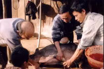 Những mối nguy tiềm ẩn trong thịt lợn 