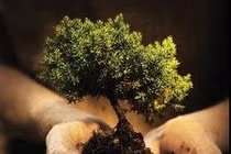 Chọn nghề nào có lợi nhất cho sức khỏe? 