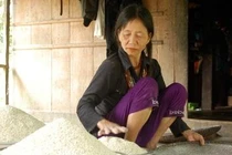 Bệnh “lạ” ở Quảng Ngãi là ghẻ cóc?