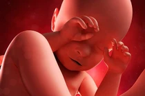 Có thể “giết chết” thai nhi vì những lỗi nhỏ