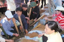 Thuốc lá - thuốc lào, thuốc nào độc hơn?