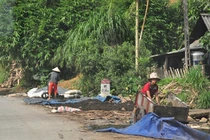 Coi chừng mắc bệnh ung thư, đường ruột vì chè Tết