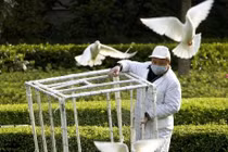 Chùm ảnh: TQ chao đảo vì dịch cúm gia cầm H7N9