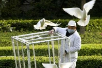 Chùm ảnh: TQ chao đảo vì dịch cúm gia cầm H7N9