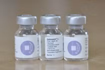 Tạm dừng vắc xin Quinvaxem 3 tháng để kiểm tra