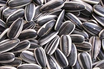 Ngoài teo não, hạt hướng dương còn có tác hại nào?