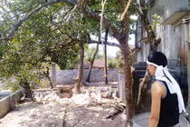 Treo cổ tự tử để lại thư tuyệt mệnh