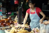 Chuyện lạ đầu xuân: Cả làng “dậy mùi” mắm tôm, thịt chó