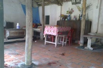 Giết em gái rồi ra vườn phủ lá ngụy trang