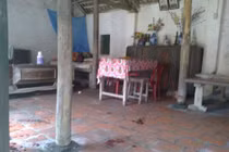 Giết em gái rồi ra vườn phủ lá ngụy trang