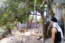 Treo cổ tự tử để lại thư tuyệt mệnh