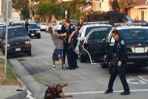 Chó bị cảnh sát bắn chết vì bảo vệ chủ nhân