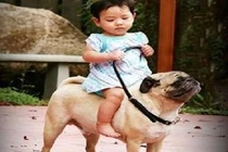 Ảnh độc chỉ có ở Việt Nam (P5)