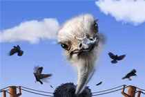 Chùm ảnh: Ngộ nghĩnh động vật ở một thế giới khác 