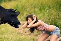 Ảnh động cười ra nước mắt (P19)