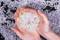 Nhặt được 32 triệu USD, trả lại cho người đánh mất