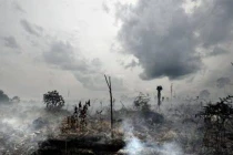 Indonesia làm mưa nhân tạo để dập cháy rừng