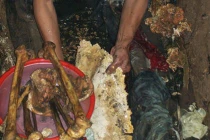 Rợn tóc gáy nghề bốc mả