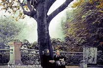 Zoom Hà Nội: Sáng chớm lạnh trong lòng Hà Nội