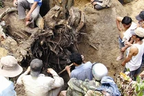 Ăn chặn kỳ nam: 3 công an bị tạm giam