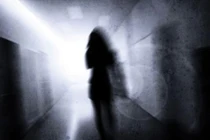 Lời giải nào cho hiện tượng “thần giao cách cảm“?