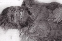 Người tuyết có thật và là “họ hàng” với con người