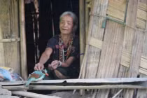 Ly kỳ chuyện người đẹp thất tình vào rừng ở ẩn