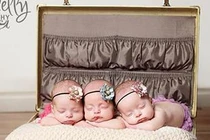 Chùm ảnh những cặp sinh đôi, sinh ba ngủ cực đáng yêu