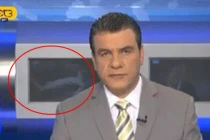 Bản tin xuất hiện phim khiêu dâm gây sốt trên mạng