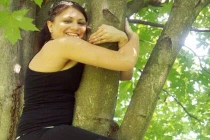 “Sốt” trào lưu chụp ảnh “gấu túi ôm cây“