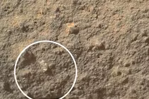 Tàu Curiosity chụp được cảnh hoa nở trên sao Hỏa?