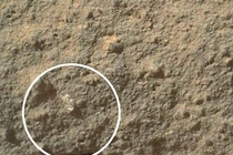 Tàu Curiosity chụp được cảnh hoa nở trên sao Hỏa?