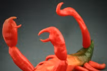 Những tạo hình ngộ nghĩnh từ rau củ quả