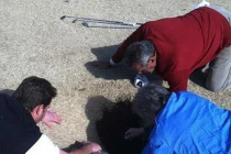 Chơi golf bị “hố tử thần” nuốt chửng 