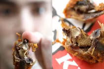Hàng loạt “vật thể lạ” trong món gà rán KFC