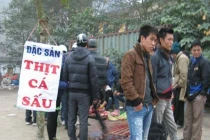 Xẻ thịt cá mập, phanh thây cá sấu... bán giá “bèo“