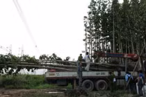 Sự cố miền Nam mất điện lên báo nước ngoài 