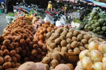 Khoai tây TQ nhiễm độc bán trong siêu thị?