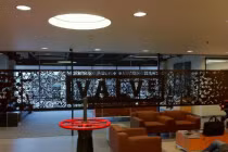 Chuyện thật 100% về công ty tỷ đô không cần sếp