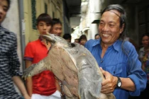 Sốt “thuỷ quái” trăm triệu đồng... làm “mồi” nhậu