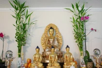 Chưa có bàn thờ Phật, tụng kinh có được không?